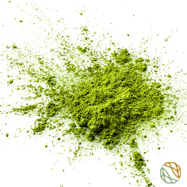 Ceremonial Matcha Premium Powder