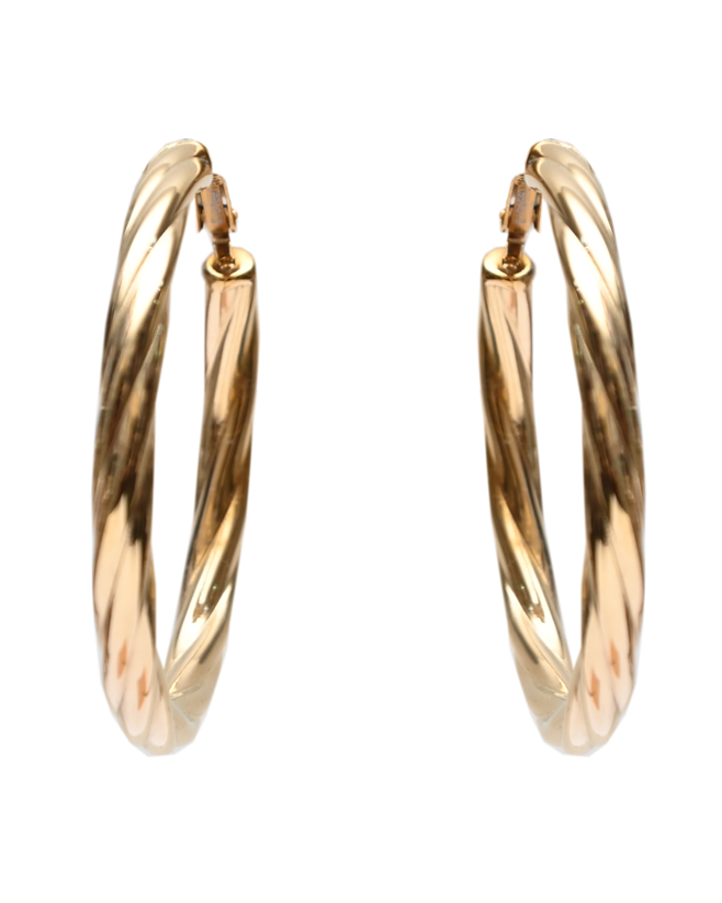 Large Hoops Earrings