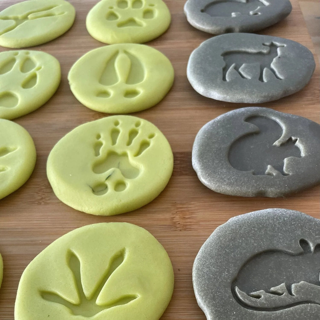 Woodland Footprints / Exploration Stones