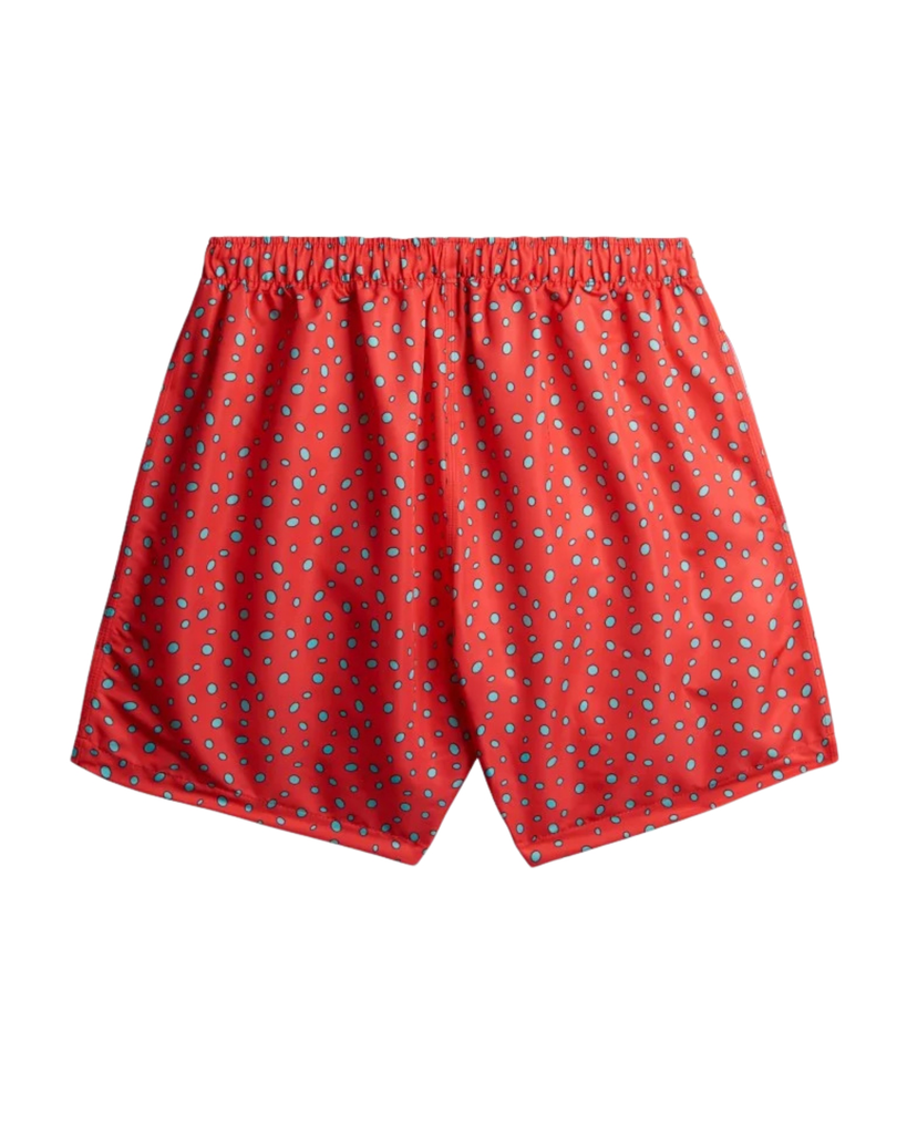 Najil Fish Pattern Boys' Swim Shorts