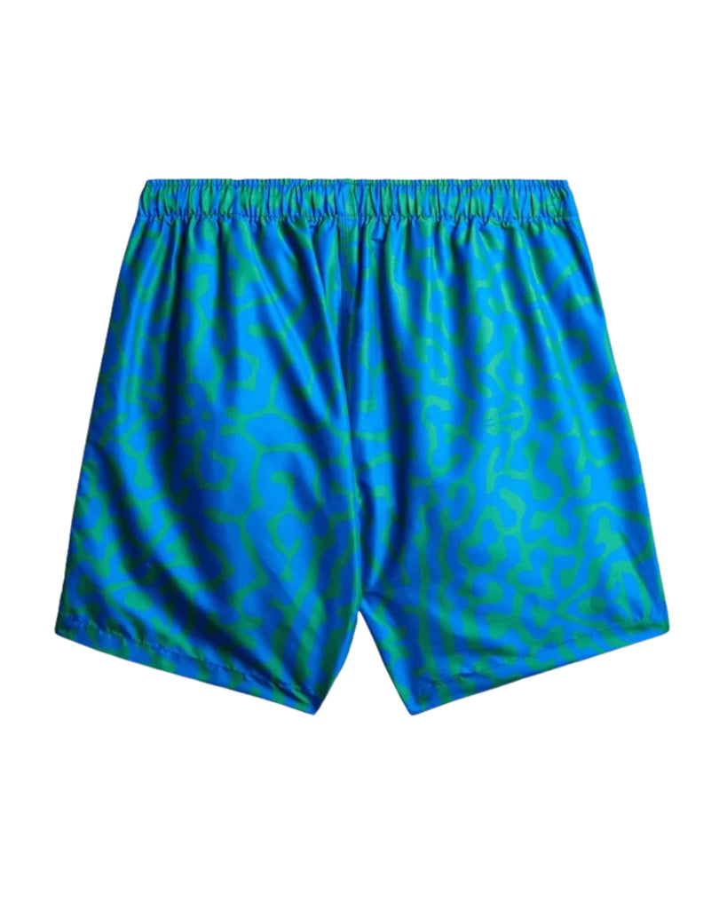 Tarabani Fish Pattern Boys' Swim Shorts