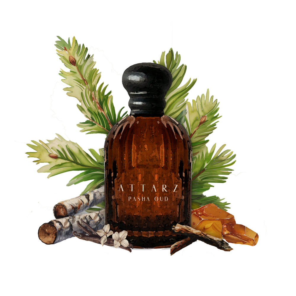 Pasha Oud Perfume