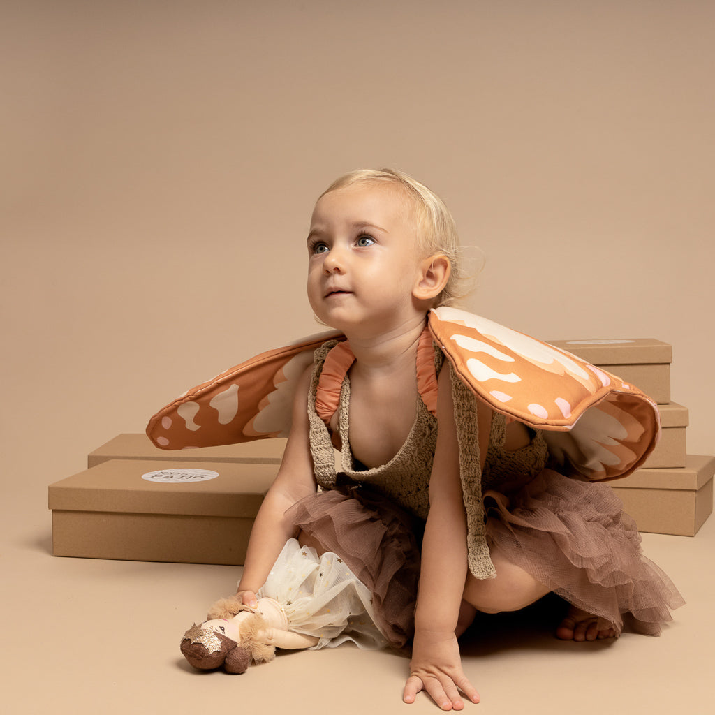 Brown Butterfly Wings Gift