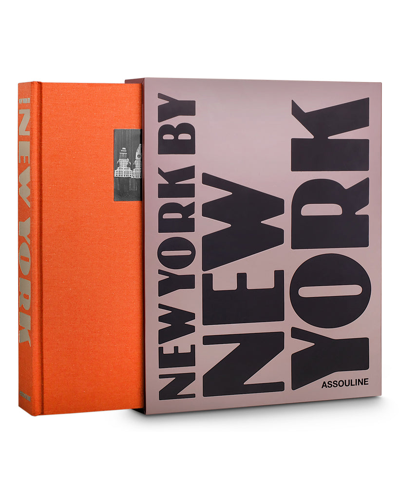 New York by New York Book