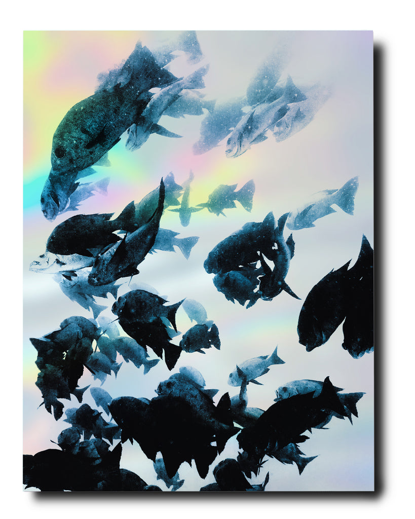 The Coral Triangle Book